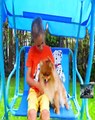 Vlad and Mom exchanged cat and dog pets - Vlad has a cat and mom has a dog. Mom and Vlad dec...