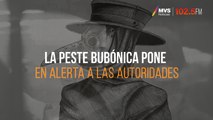 La peste bubónica pone en alerta a las autoridades