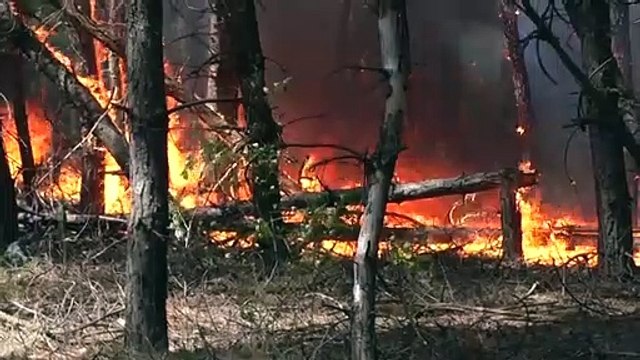 Mortos e feridos em incêndio florestal na Ucrânia