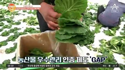 [친절한 예인씨] 안전한 밥상의 시작! GAP 인증 제도