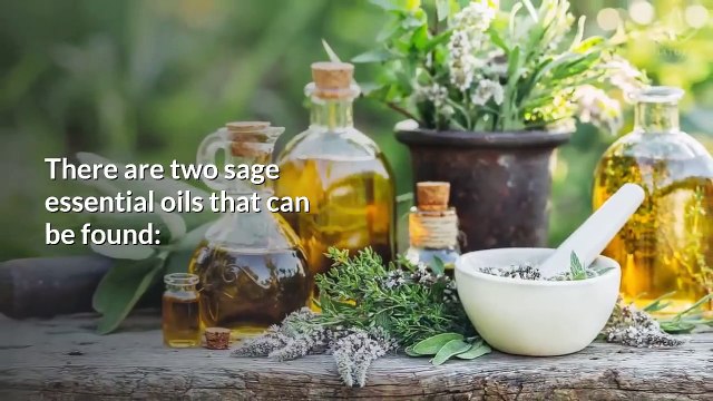 5 Incredible Benefits of Sage Essential Oil