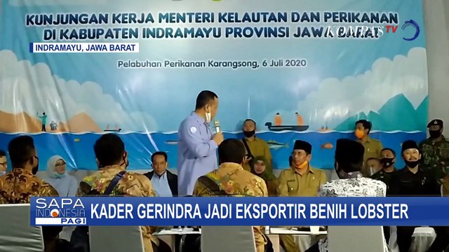 Edhy Prabowo Akui Kader Gerindra Dapatkan Izin Jadi Eksportir Benih Lobster