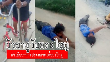 ปูดคลิปฉงน ชายตัดหัวงู ทำเมียเกิดอาการประหลาด เลื้อยเป็นงู-ร้องไห้