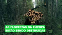 Desmatamento na Europa está ocorrendo a um ritmo alarmante