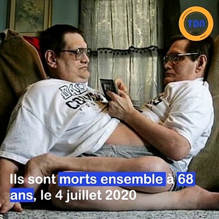 Les plus vieux siamois au monde son morts à 68 ans