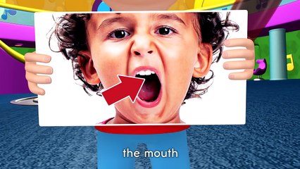 Learn English for Kids – Body Parts, Family & Feelings