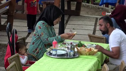 Bursa'nın Ulu Çınarı Misafirlere Kapılarını Açtı