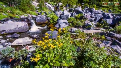 HUZURA DOGRU 20200613