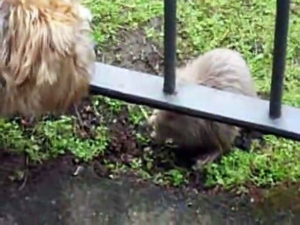 mein Schutzengel Winnie