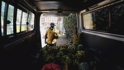 Madrugar para vender fruta en lugar de buscar leones
