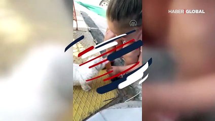 Sıcaktan bunalan yavru köpekle dondurmasını paylaştı