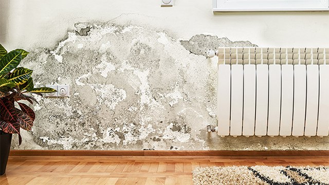 Monsoon Care Tips Home: घर की सीलन को कहें बाय-बाय । Easy Tips To Avoid Dampness । Boldsky