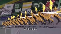 Un spectacle surprenant de robots au Japon