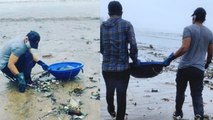 Randeep Hooda Cleaning Beach Amid Covid-19 Pandemic