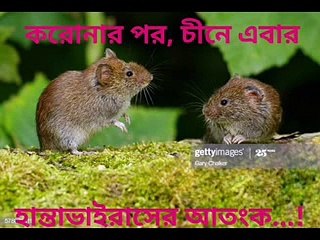 করোনার পর চীনে এবার হান্তাভাইরাসের আতংক