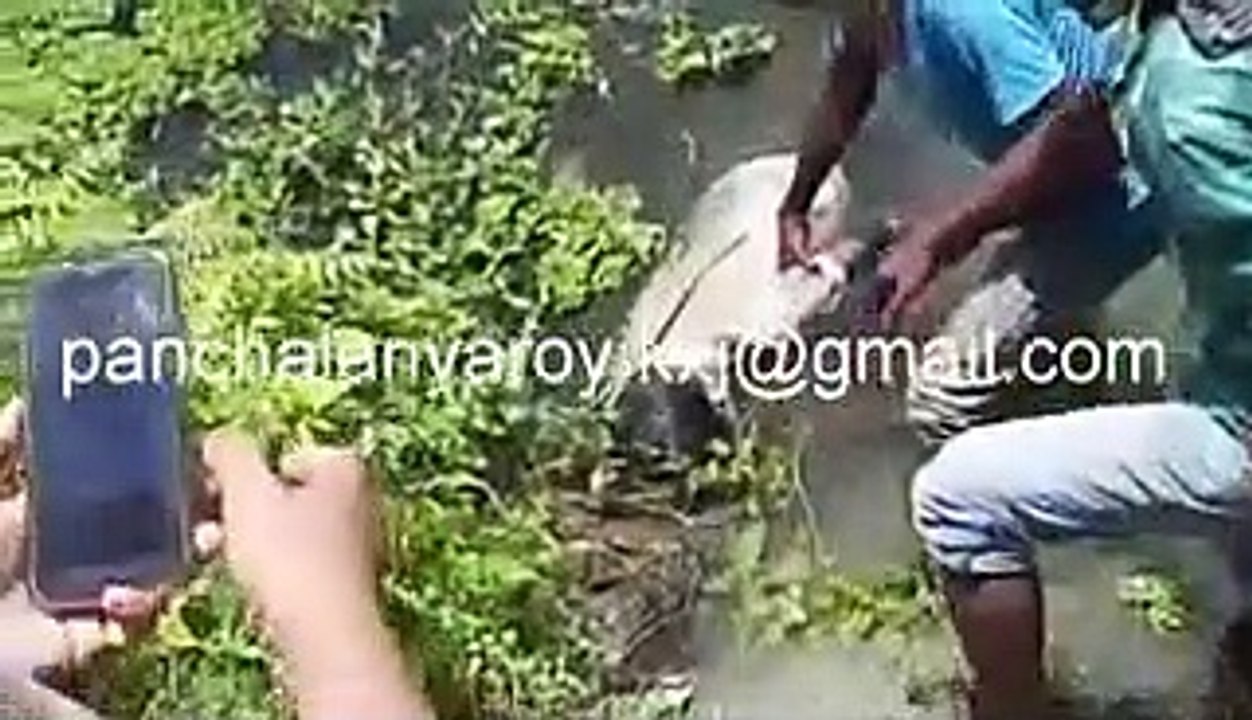 The body of an unidentified youth was recovered from the water body of Karimganj College.