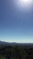 Swooping Eagle - Spain | Anthony S Casey Singapore