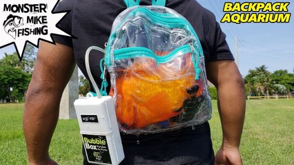 BACKPACK AQUARIUM with Exotic Fish