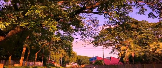 A Railway Station | Cinematic | Natural | Filmmaking | Travel Video | Travel Vlog | A Film by Emdadul Hoque
