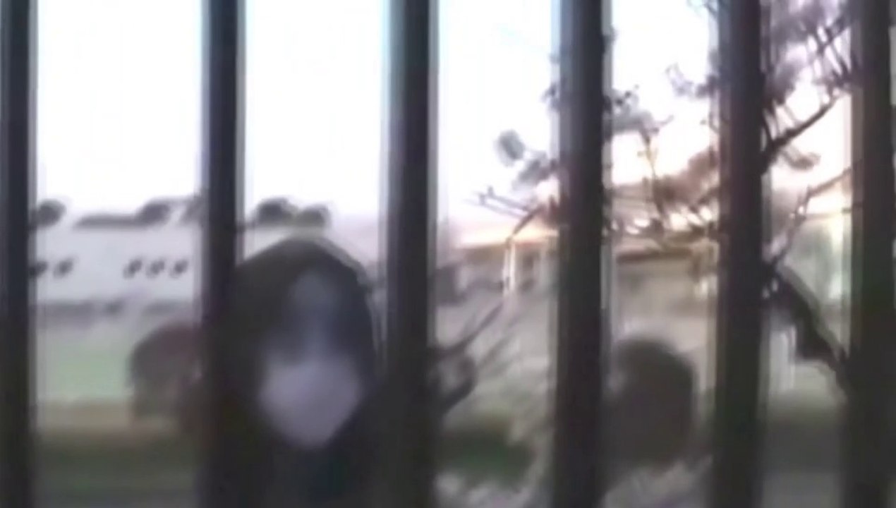 CAMFEAR 1x04 2020