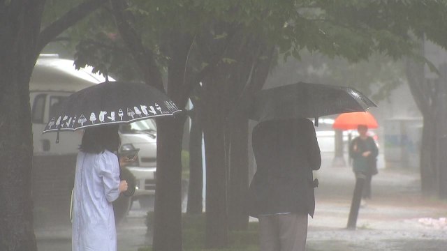 [날씨] 휴일 충청 이남 장맛비, 중북부 구름 많고 무더위 / YTN
