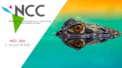 Noticiero Científico y Cultural Iberoamericano, emisión 254.  13  al 19 de Julio 2020