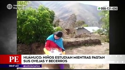 Download Video: Edición Central: Niños de Huánuco estudian mientras pastan sus ovejas y becerros