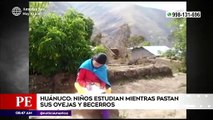 Edición Central: Niños de Huánuco estudian mientras pastan sus ovejas y becerros