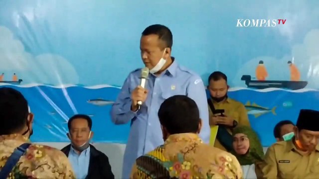 Pengamat: Kebijakan Ekspor Benih Lobster Bisa Rugikan Indonesia