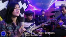What's Up - 4 NON BLONDES | Cover by DAMAI