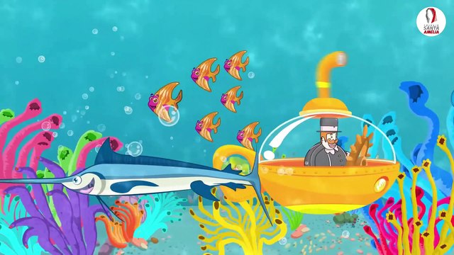 SÉRIE ANIMAIS: ANIMAIS AQUÁTICOS - TIA BETE - COLÉGIO SANTA AMÉLIA