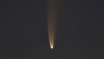 Comet NEOWISE now visible in the evening sky