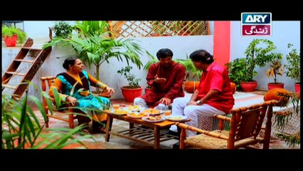 Bubbly Kya Chahti Hai Episode 29 & 30 - ARY Zindagi Drama