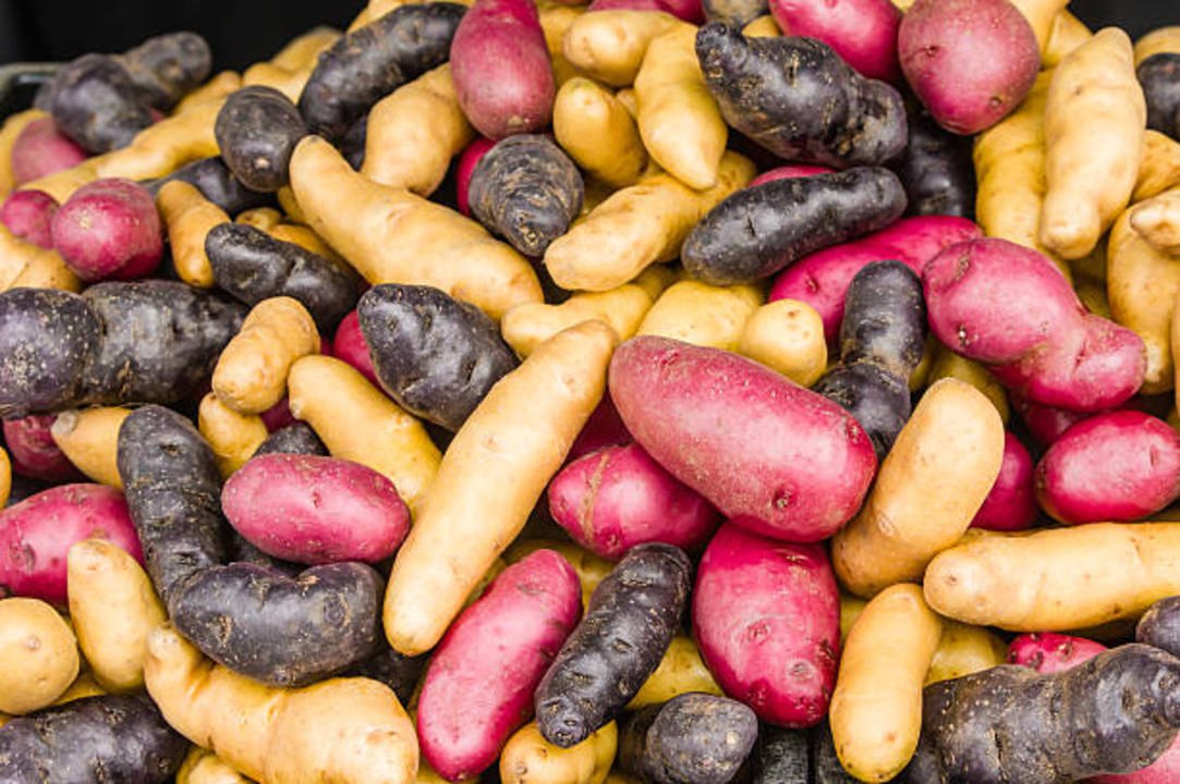Using the Right Potato is the Secret to a Great Potato Salad