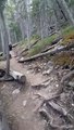Ces touristes Australiens croisent un grizzly pendant une rando au Canada