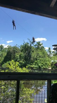 Ce père et son fils sont coincés sur une tyrolienne au dessus des alligators