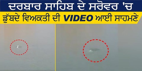 ਹਰਮੰਦਰ ਸਾਹਿਬ ਦੇ ਸਰੋਵਰ ਵਿੱਚ ਡੁੱਬੇ ਸ਼ਰਧਾਲੂ ਦੀ ਵੀਡੀਓ ਆਈ ਸਾਹਮਣੇ। ਡੁੱਬ ਰਹੇ ਸ਼ਰਧਾਲੂ ਨੂੰ ਬਚਾਉਣ ਲਈ ਕੋਈ ਨਹੀਂ ਆਇਆ ਅੱਗੇ। #SGPC #ViralVideo #MediaBan #goldentempleamritsar