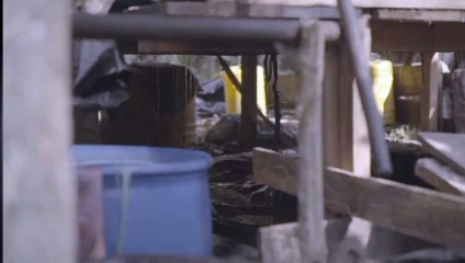 HEREDEROS DE PABLO ESCOBAR - CLANDESTINO