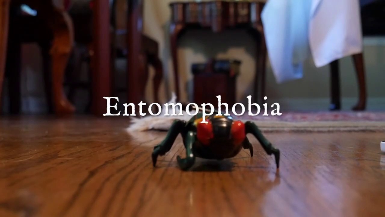 E: Entomophobia: Phobia: English: MoribundMurdoch: Video Example Silly