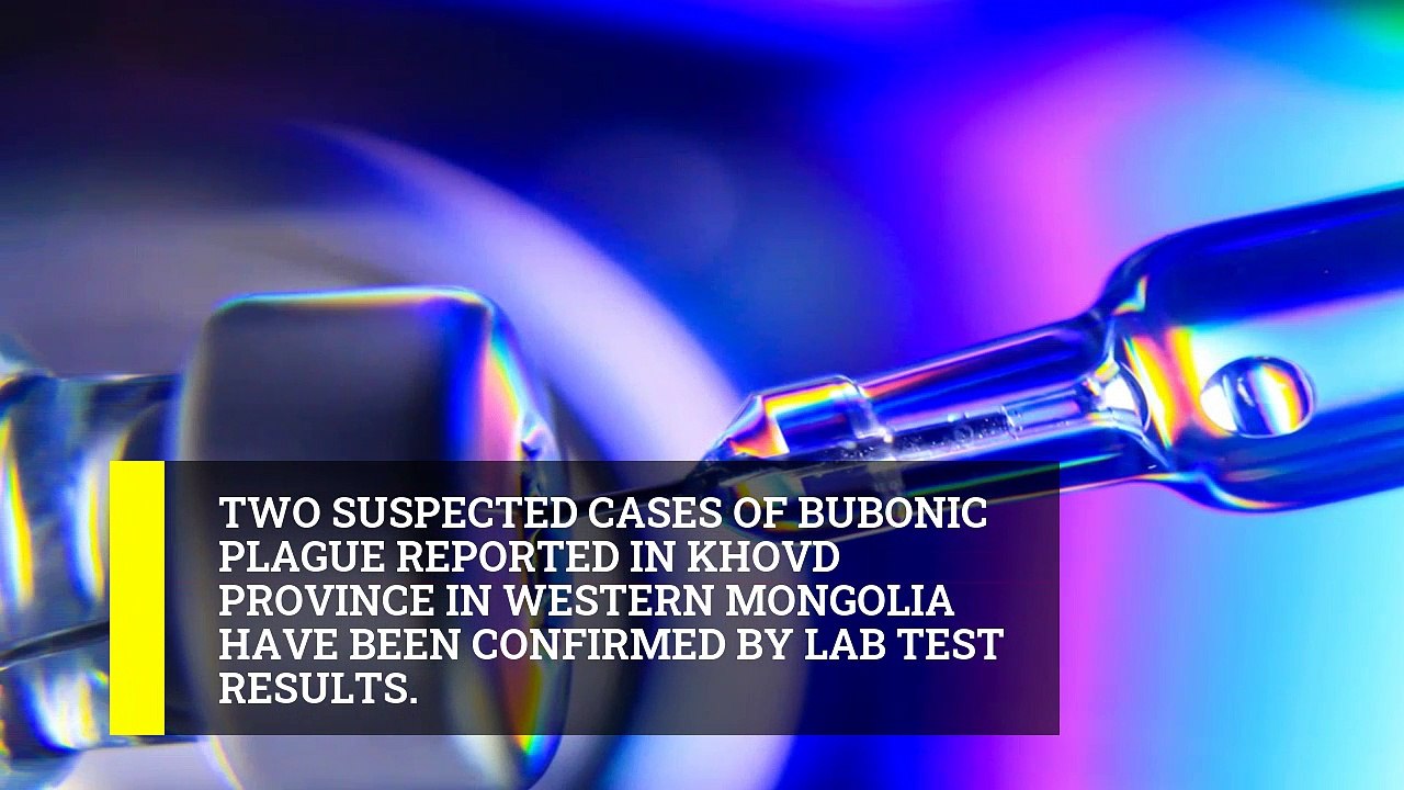 Chinese city sounds alert for bubonic plague, Health News