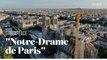 Greenpeace s'empare de Notre-Dame de Paris pour faire passer son message à Emmanuel Macron