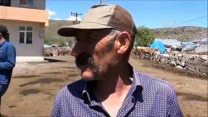 Yaylalar kiraya verildiği için hayvanlarını otlatamıyorlar: Göçmenlere yüksek fiyata veriliyor; bizim gücümüz yok