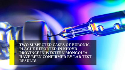 Chinese city sounds alert for bubonic plague, Health News