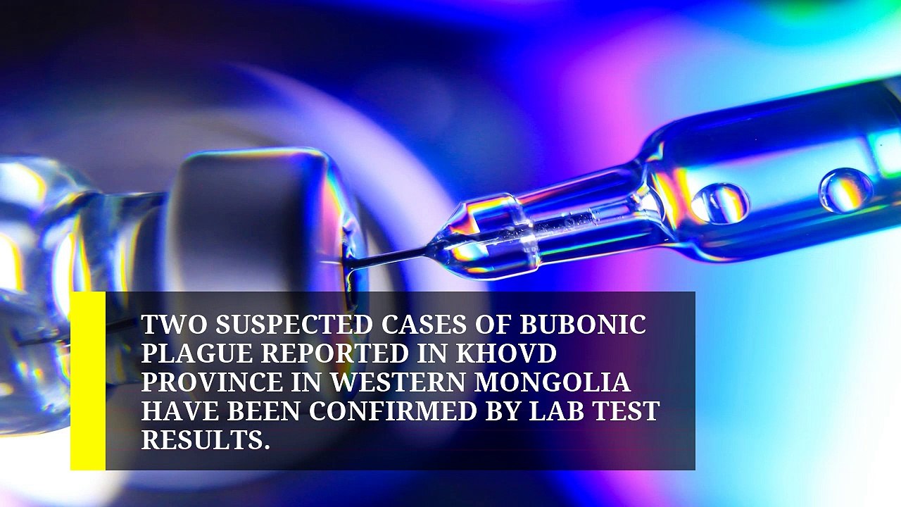 Chinese city sounds alert for bubonic plague, Health News