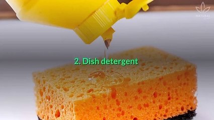 5 Really Easy Ways to Unclog Drains