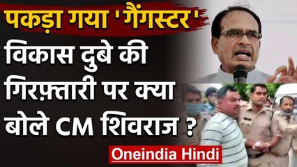 Vikas Dubey Arrested: CM Shivraj Singh Chouhan बोले-उसने महाकाल को जाना ही नहीं वनइंडिया हिंदी