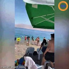 Un requin-baleine a été aperçu au large d'une plage israélienne