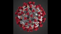 Coronavirus: y aura-t-il une deuxième vague en France ?