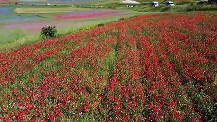 Drone images as Italy flowers bloom near Umbria town