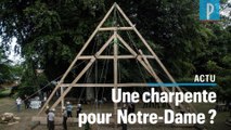 Notre-Dame de Paris : pourquoi la charpente doit renaître en bois et à l'identique (selon ces charpentiers)